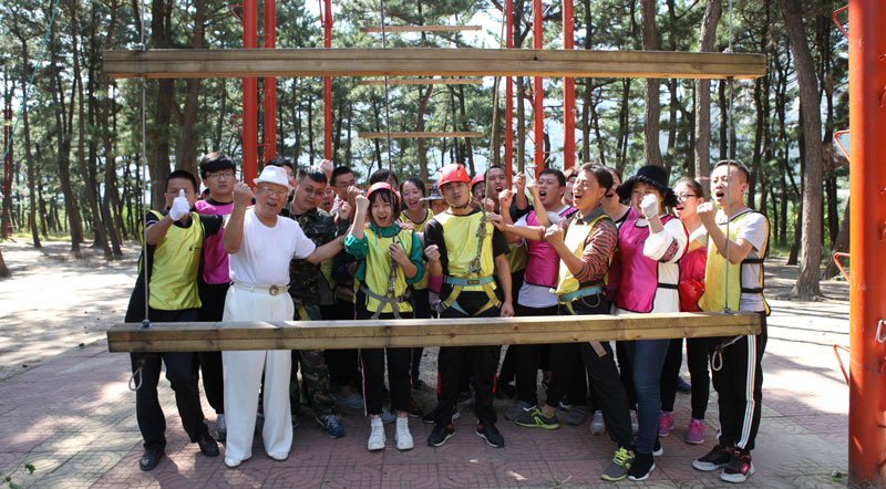 拓展訓(xùn)練　天梯